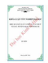 Khóa luận Hiệu quả sản xuất cà phê của các hộ ở xã Eaô, huyện Eakar, tỉnh Đăklăk