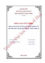 Khóa luận Hiệu quả sản xuất dứa của hộ gia đình ở xã Quỳnh Châu, huyện Quỳnh Lưu, tỉnh Nghệ An