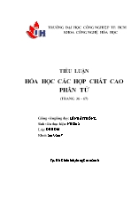 Tiểu luận Hóa học các hợp chất cao phân tử