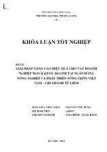 Đề tài Giải pháp nâng cao hiệu quả cho vay doanh nghiệp ngoài quốc doanh tại ngân hàng nông nghiệp và phát triển nông thôn Việt Nam - Chi nhánh Từ Liêm