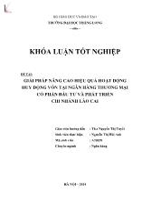 Đề tài Giải pháp nâng cao hiệu quả hoạt động huy động vốn tại ngân hàng thương mại cổ phần đầu tư và phát triển chi nhánh Lào Cai