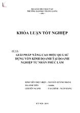 Đề tài Giải pháp nâng cao hiệu quả sử dụng vốn kinh doanh tại doanh nghiệp tư nhân Phúc Lâm