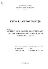 Đề tài Giải pháp nâng cao hiệu quả sử dụng vốn tại công ty cổ phần đầu tư xây dựng và thương mại Lâm Vũ