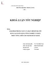 Đề tài Giải pháp phòng ngừa và hạn chế rủi ro tín dụng tại ngân hàng nông nghiệp và phát triển nông thôn chi nhánh hoàn kiếm