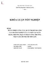 Đề tài Hoàn thiện công tác quản trị rủi ro cho vay doanh nghiệp vừa và nhỏ tại ngân hàng thương mại cổ phần công thương Việt Nam chi nhánh Tiên Sơn