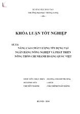 Đề tài Nâng cao chất lượng tín dụng tại ngân hàng nông nghiệp và phát triển nông thôn chi nhánh Hoàng Quốc Việt