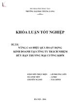 Đề tài Nâng cao hiệu quả hoạt động kinh doanh tại công ty trách nhiệm hữu hạn thương mại Cường Khôi