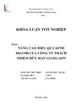 Đề tài Nâng cao hiệu quả kinh doanh của công ty trách nhiệm hữu hạn Giang Sơn