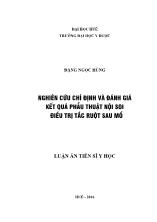 Đề tài Nghiên cứu chỉ định và đánh giá kết quâ phẫu thuật nội soi điều trị tắc ruột sau mổ