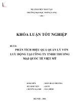 Đề tài Phân tích hiệu quả quản lý vốn lưu động tại công ty TNHH thương mại quốc tế Việt Mỹ