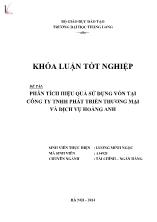 Đề tài Phân tích hiệu quả sử dụng vốn tại công ty TNHH phát triển thương mại và dịch vụ Hoàng Anh