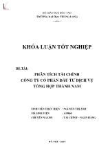 Đề tài Phân tích tài chính công ty cổ phần đầu tư dịch vụ tổng hợp Thành Nam