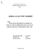 Đề tài Phân tích tình hình tài chính của công ty trách nhiệm hữu hạn sản xuất thương mại xuất nhập khẩu Việt Anh