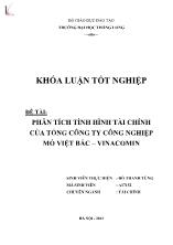 Đề tài Phân tích tình hình tài chính của tổng công ty công nghiệp mỏ Việt Vắc – Vinacomin