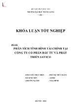 Đề tài Phân tích tình hình tài chính tại công ty cổ phần đầu tư và phát triển Savico