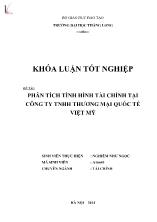 Đề tài Phân tích tình hình tài chính tại công ty TNHH thương mại quốc tế Việt Mỹ