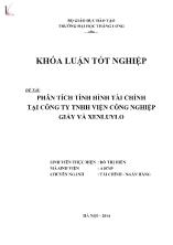 Đề tài Phân tích tình hình tài chính tại Công ty TNHH Viện Công nghiệp Giấy và Xenluylo