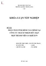 Đề tài Phân tích tình hình tài chính tại công ty trách nhiệm hữu hạn một thành viên cơ khí Z179