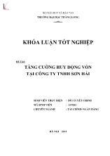 Đề tài Tăng cường huy động vốn tại công ty TNHH Sơn Hải