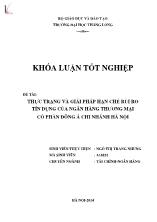 Đề tài Thực trạng và giải pháp hạn chế rủi ro tín dụng của ngân hàng thương mại cổ phần đông á chi nhánh Hà Nội