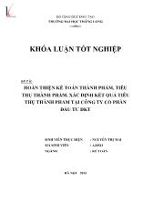 Hoàn thiện kế toán thành phẩm, tiêu thụ thành phẩm, xác định kết quả tiêu thụ thành phẩm tại công ty cổ phần đầu tư DKT