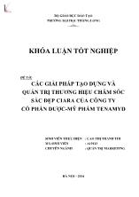 Khóa luận Các giải pháp tạo dựng và quản trị thương hiệu chăm sóc sắc đẹp ciara của công ty cổ phần dược - Mỹ phẩm tenamyd