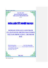 Khóa luận Đánh giá năng lực cạnh tranh của ngân hàng thương mại cổ phần Việt Nam Thịnh Vượng - Chi nhánh Huế