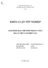 Khóa luận Giải pháp hạn chế tình trạng vàng hóa ở Việt Nam hiện nay