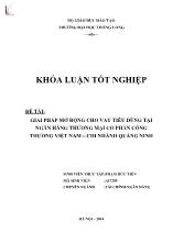 Khóa luận Giải pháp mở rộng cho vay tiêu dùng tại ngân hàng thương mại cổ phần công thương Việt Nam – Chi nhánh Quảng Ninh