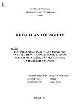 Khóa luận Giải pháp nâng cao chất lượng cho vay tiêu dùng tại ngân hàng thương mại cổ phần xăng dầu petrolimex chi nhánh Bắc Ninh