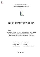 Khóa luận Giải pháp nâng cao hiệu quả cho vay tiêu dùng tại ngân hàng nông nghiệp và phát triển nông thôn Việt Nam – Chi nhánh Láng Hạ