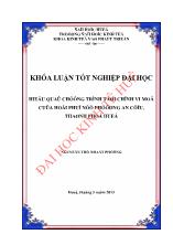 Khóa luận Hiệu quả chương trình tài chính vi mô của hội phụ nữ phường An cựu, thành phố Huế