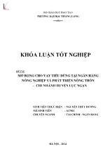 Khóa luận Mở rộng cho vay tiêu dùng tại ngân hàng nông nghiệp và phát triển nông thôn – Chi nhánh huyện Lục Ngạn