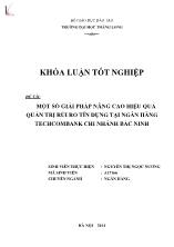 Khóa luận Một số giải pháp nâng cao hiệu quả quản trị rủi ro tín dụng tại ngân hàng techcombank chi nhánh Bắc Ninh