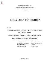 Khóa luận Nâng cao chất lượng cho vay ngắn hạn của ngân hàng nông nghiệp và phát triển nông thôn chi nhánh Yên Lạc, Vĩnh Phúc