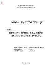 Khóa luận Phân tích tình hình tài chính tại công ty TNHH Lạc Hồng