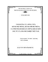 Luận án Ảnh hưởng của dòng tiền, rủi ro hệ thống, rủi ro phi hệ thống và tính thanh khoản chứng khoán đến đầu tư của doanh nghiệp Việt Nam