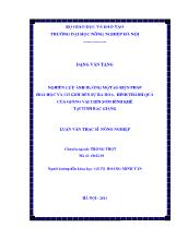 Luận án Nghiên cứu ảnh hưởng một số biện pháp hoá học và cơ giới ðến sự ra hoa, hình thành quả của giống vải chín sớm Bình Khê tại tỉnh Bắc Giang