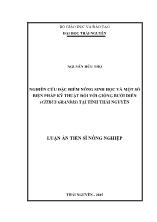 Luận án Nghiên cứu đặc điểm nông sinh học và một số biện pháp kỹ thuật đối với giống bưởi diễn (citrus grandis) tại tỉnh Thái Nguyên