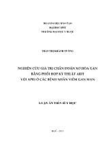 Luận án Nghiên cứu giá trị chẩn đoán xơ hóa gan bằng phối hợp kỹ thuật arfi với apri ở các bệnh nhân viêm gan mạn