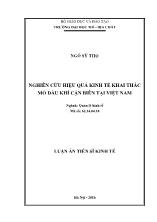 Luận án Nghiên cứu hiệu quả kinh tế khai thác mỏ dầu khí cận biên tại Việt Nam