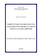 Luận án Nghiên cứu khả năng kháng rầy nâu và đặc điểm nông sinh học của một số giống lúa tại thừa thiên Huế