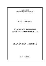 Luận án Tín dụng ngân hàng đối với hộ sản xuất cà phê tỉnh Đắk Lắk