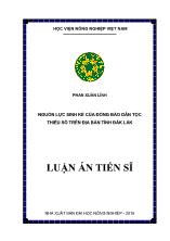 Luận văn Nguồn lực sinh kê cua đồng bao dân tôc thiêu sô trên đia ban tinh Đăk Lăk