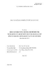 Báo cáo Khảo sát khả năng chi trả chi phí điều trị Methadone của bệnh nhân chuẩn bị tham gia mô hình xã hội hóa Methadone tại TP. Hồ Chí Minh (thực hiện năm 2012)