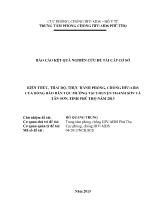 Báo cáo Kiến thức, thái độ, thực hành phòng, chống HIV/AIDS của đồng bào dân tộc Mường tai 2 huyện Thanh Sơn và Tân Sơn, tỉnh Phú Thọ năm 2013