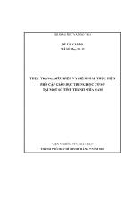 Đề tài Thực trạng, điều kiện và biện pháp thực hiện phổ cập giáo dục trung học cơ sở tại một số tỉnh thành phía nam