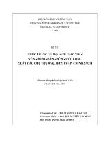 Đề tài Thực trạng về đội ngũ giáo viên vùng Đồng bằng sông Cửu Long xuất các chủ trương, biện pháp, chính sách