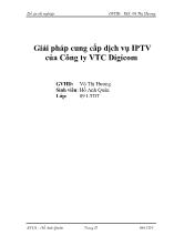 Đồ án Giải pháp cung cấp dịch vụ IPTV của Công ty VTC Digicom