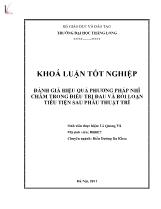 Khóa luận Đánh giá hiệu quả phương pháp nhĩ châm trong điều trị đau và rối loạn tiểu tiện sau phẫu thuật trĩ